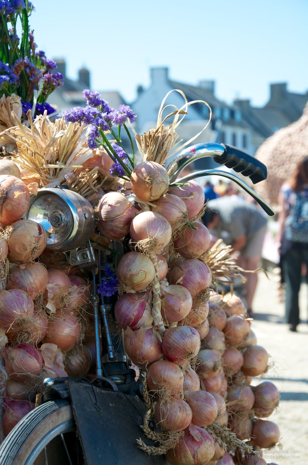 fete de l'oignon