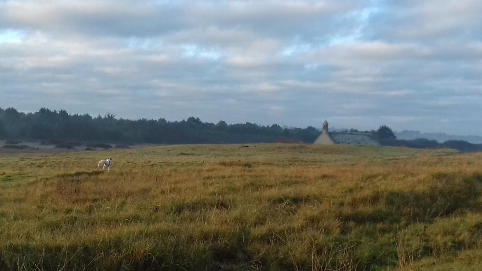 Keremma vue des dunes