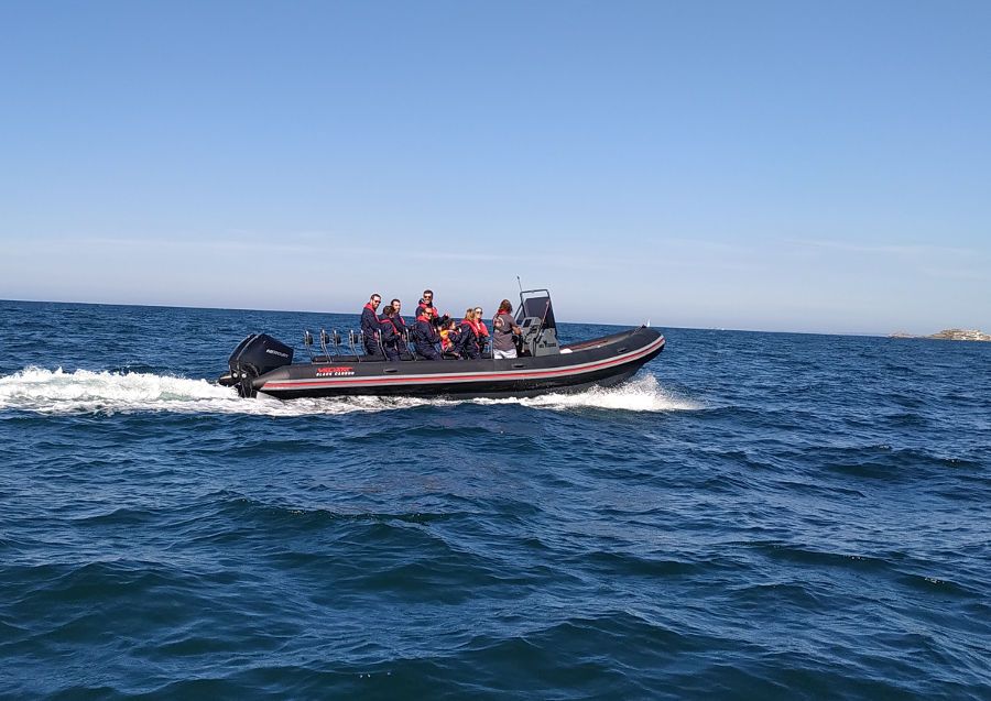 vagabonds de la baie